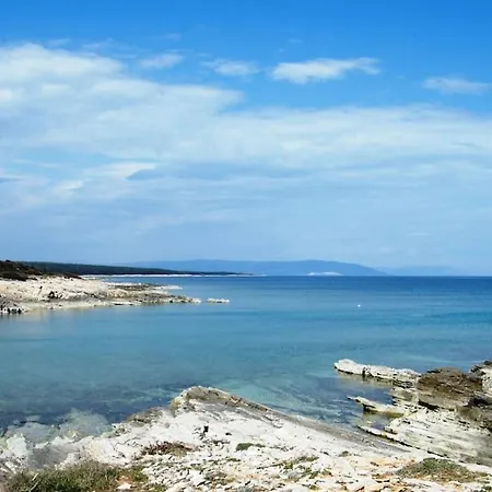 Vesna With Pool Šišan